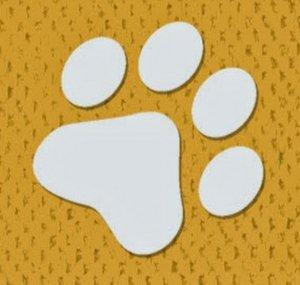Consejos para mascotas