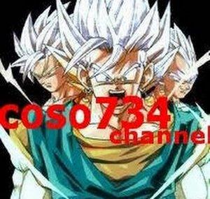 coso734