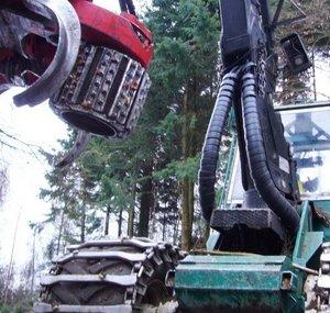 Harvester Forwarder & More