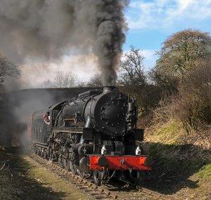 Marsh Steam Videos™