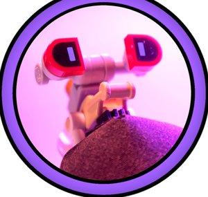 Psyoid