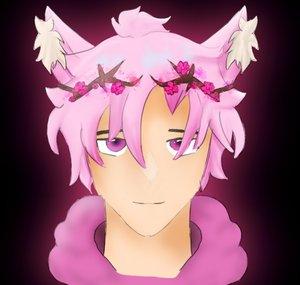 Sakura Audio