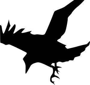 The black crow