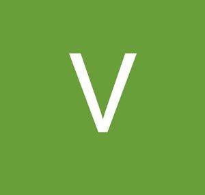 VloggerWill