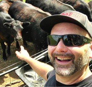 Cows and Coffee