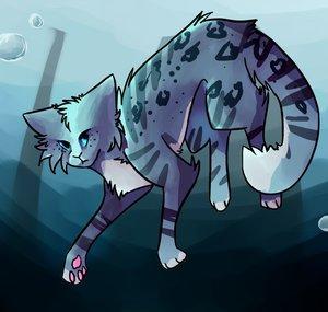 mokijay