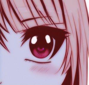 seimeitai