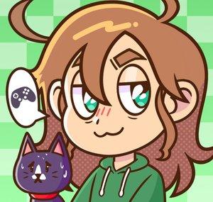 StrayFae