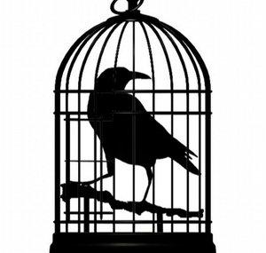 Caged Bird