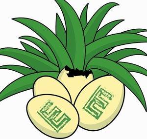 Eggy Emporium