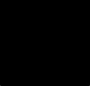 Ev0x1337