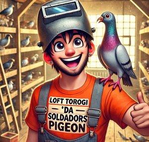 LOFT TOROGi  ‘DA SOLDADOR’S PIGEONS