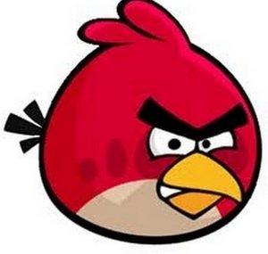 MediANGRYBIRDS