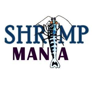 Shrimp Mania
