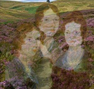 Brontë Chick