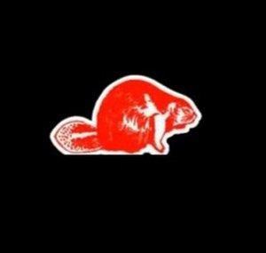 CanadianPride8