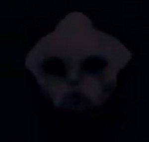 Ceelo