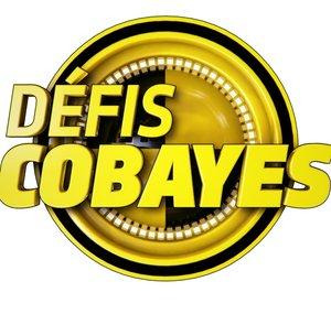 La chaîne des Cobayes
