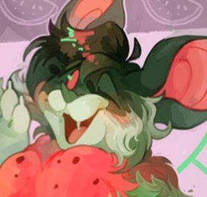 Melonbat