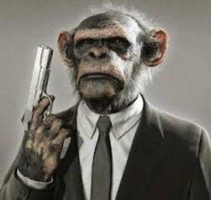 MonkeyRage427