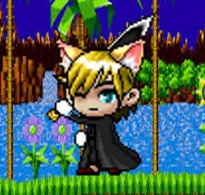 Number15Tails