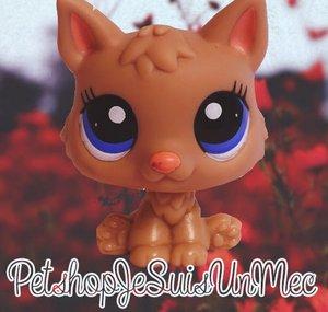 PetshopJeSuisUnMec