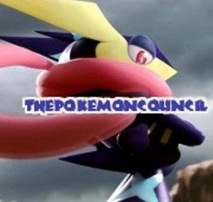 Thepokemoncouncil