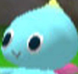 Yii