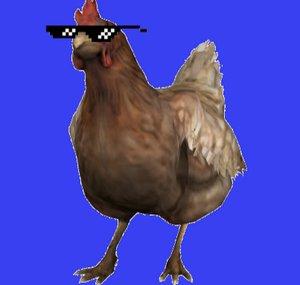 Counter Chicken