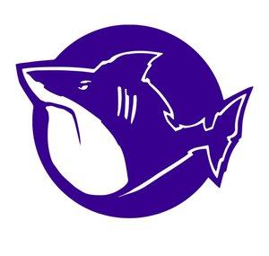Fatshark VODS