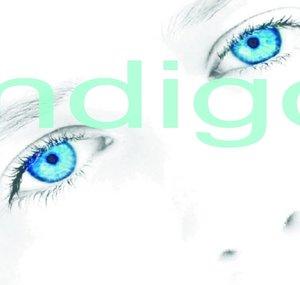 Indigo. acüstico