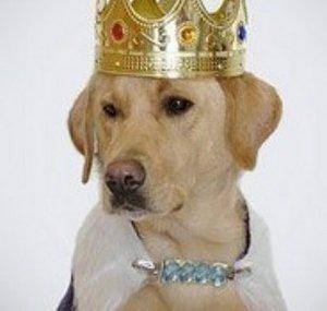 Jarl SwagDog