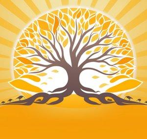Nature Healing Society