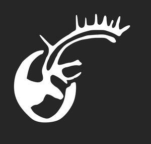 Nordvis