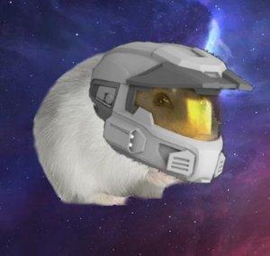 PudgeyHamster