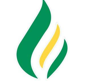 Reignite Democracy Australia