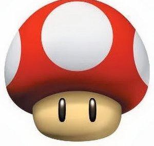 ShulyFTW