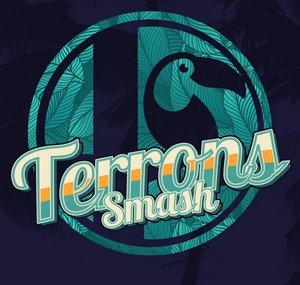 Terrons Smash
