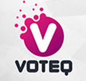 Voteq - Website Solutions