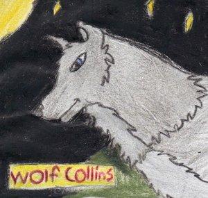 Wolf Collins