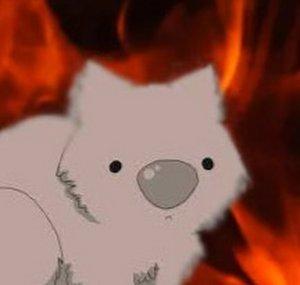 WOMBATBLAZE