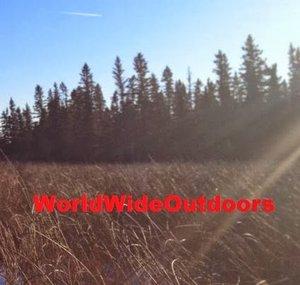 WorldWideOutdoors