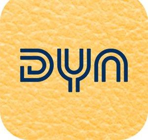 Dyn Volleyball