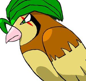 EJPidgeotto
