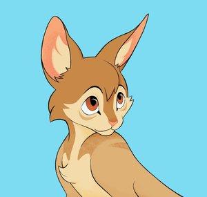 Juno Felis