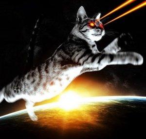 LaserCat006