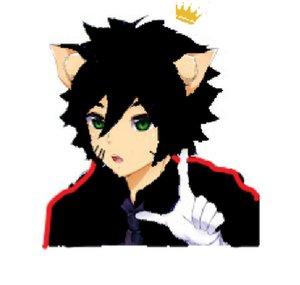Mishi el rey gato