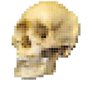 Mr. Skeletal Bones