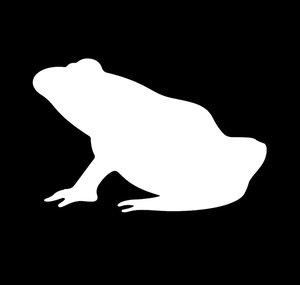 SmokeSomeFrogs