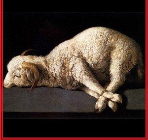 TheAnimalHolocaust